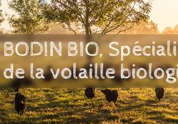 La démarche RSE (Responsabilité Sociétale et environnementale) des volailles Bodin Bio récompensée